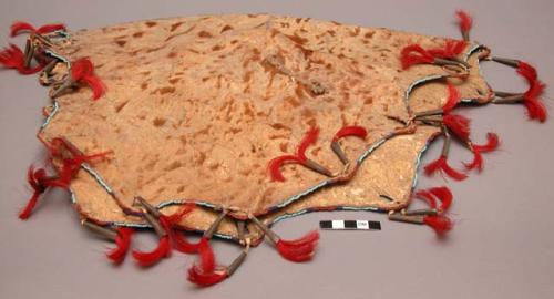 Oglala Sioux hide bowl used in making pemmican.