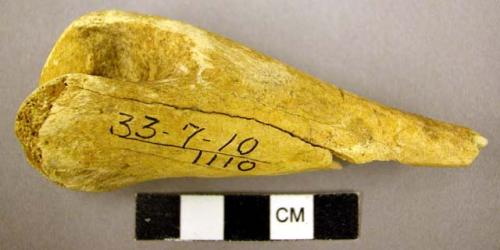 Fragment of animal bone incised or partly cut through