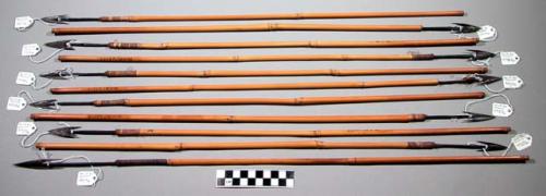 Quiver with 11 iron-headed arrows