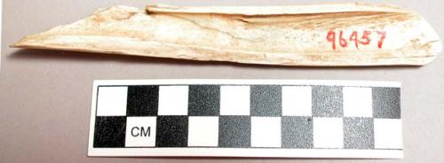 Worked bone fragment