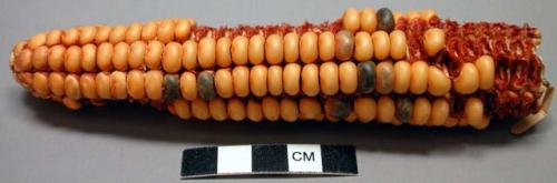 Hominy flint corn