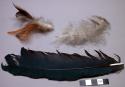 Feathers from headdress, some tied with string