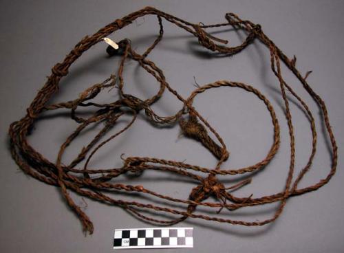 Vegetable fiber rope, twisted & knotted, loop at 1 end, frayed – Objects –  eMuseum