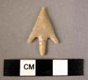FRAUD-tanged and barbed arrowhead