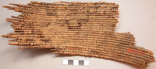 Organic woven fiber basketry fragment