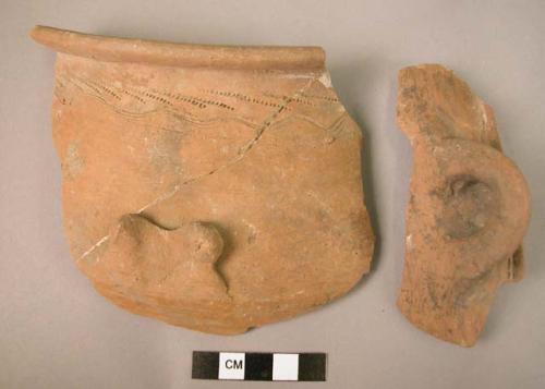 2 rim potsherds - 1 handle