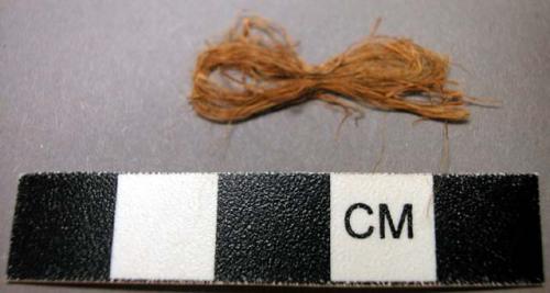 Fiber sample, Yucca