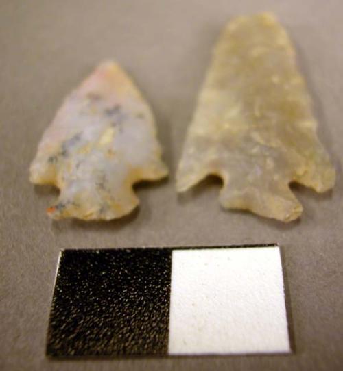 White chert points