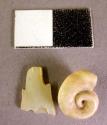 Organic, shell, one piece of worked shell, one small coiled shell