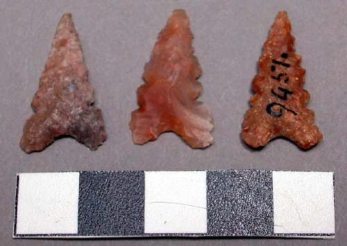 Arrowheads, triangular, stem & barbs