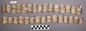 Necklace - dentalium shells strung on deerskin thongs