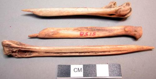 Bone points, shafts with one jointed end