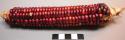 Mandan soft-red corn