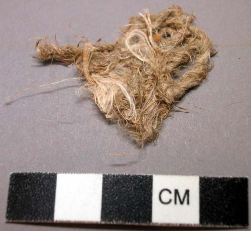 Fiber sample, Apocynum (Dogbane - Indian hemp)