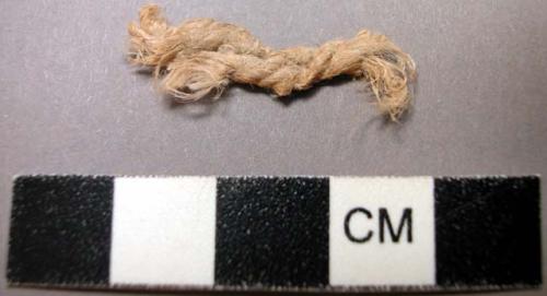 Fiber sample, Desert type Asclepias