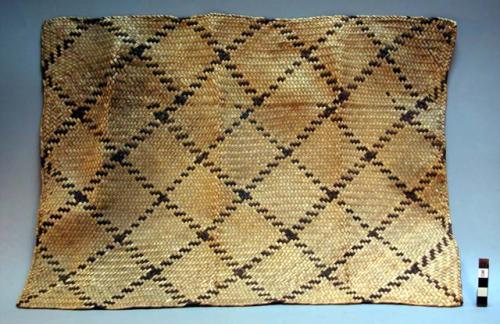 Palm leaf mat