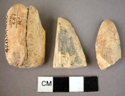 Bone or ivory fragments