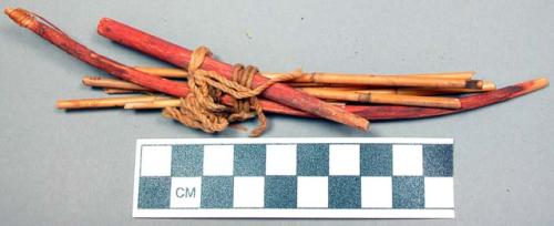 Bundle of sticks, stems and fiber