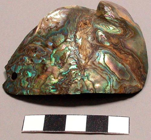 Paiute abalone shell pendant. Carved, but roughly triangular.