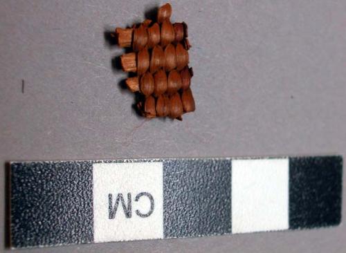 Basketry fragment from cylindrical basket