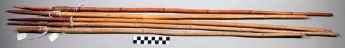 5 arrows of bamboo shaft and wooden point. (they belong with bow #50/8254)  Nama