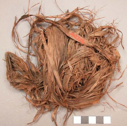 Bundle of cedar bark