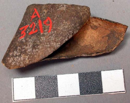 Fragment of hoof or horn