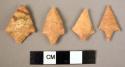 26 stubby triangle stone points with long tang or deep corner notches