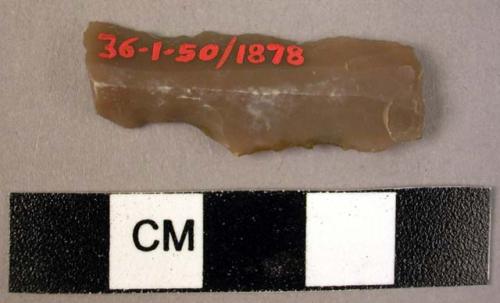 Small worked flint blade used as a hollow scraper