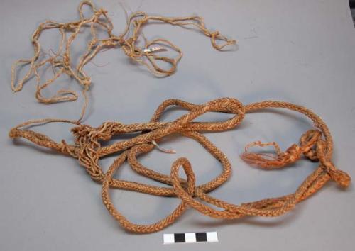 Fragment of net with A3464, covered with cedar bark