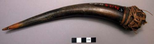 Tusks containing medicine