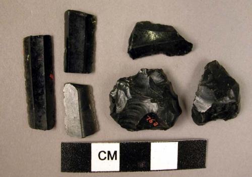 20 obsidian fragments