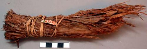 Cedar bark torch