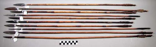 10 Iron-tipped wooden arrows ("mwambi")