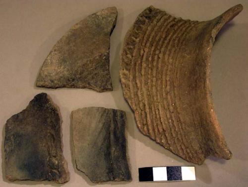 Sherds showing decoration between corrugated neck