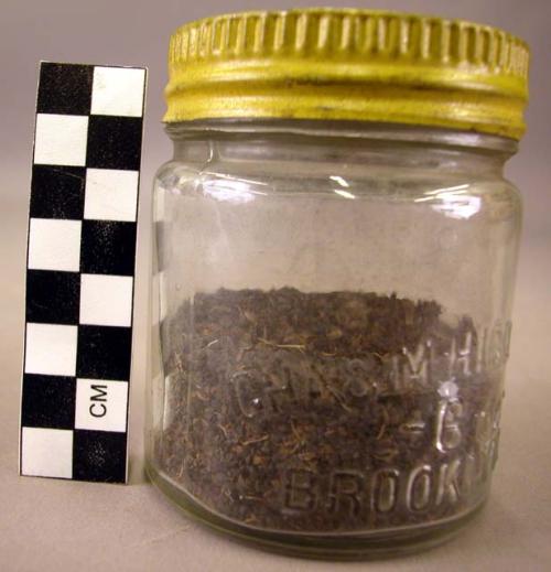 Seeds in glass jar