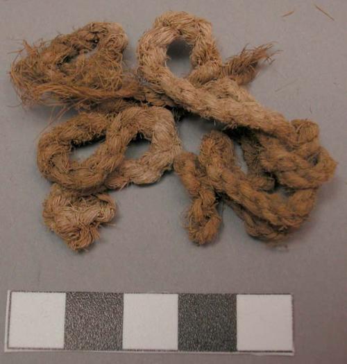 Cordage Fragment