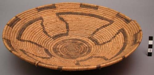 Basket bowl, coiled. Geometric design.