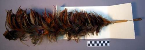 Navajo feather dance wand. Multi-colored feathers cover most of reed(?) handle.