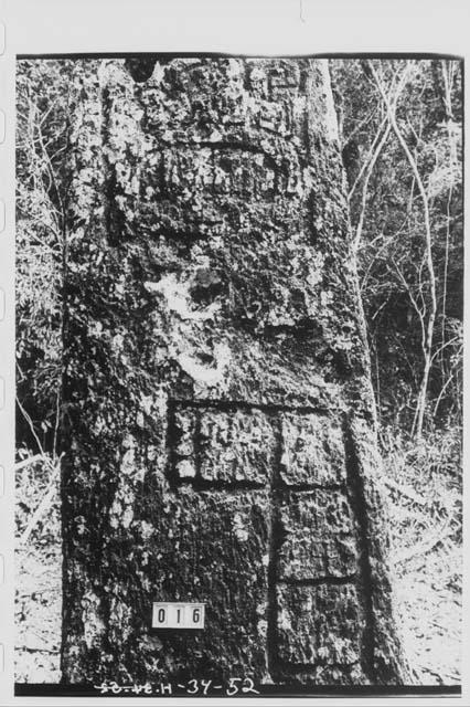 Stela 17 - back