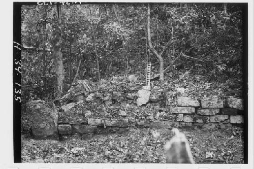 Ball Court - N.E. corner of platform