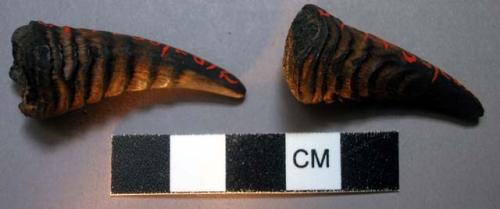 Pair of antelope horns filled with "medicine" to accompany "head" of Snake Society