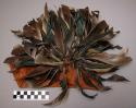 Feather headdress - band of bark cloth with clump of feather at front