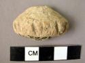 1 fragment of spindle whorl - pottery