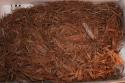 Cedar bark cradle filled with shredded bark (found with A2449)