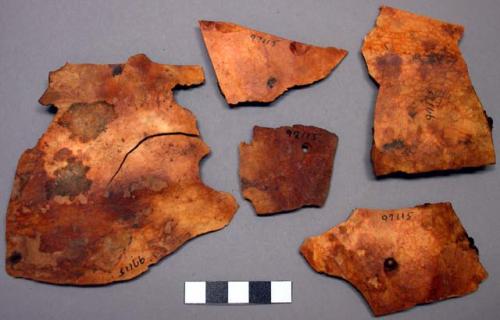 Gourd fragments