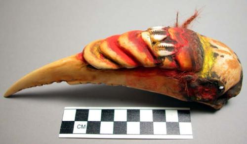 "Kini shell" ornament, upper portion of bird-beak 7 in. long, mid-+section carve