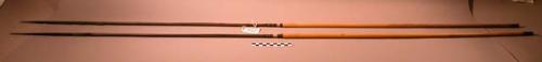 Arrows - palm foreshaft with notched head set into long reed shaft; +