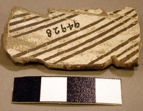 Worked sherd - notched, not animal form