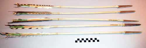 Set of five wooden arrows--green tips, long iron points